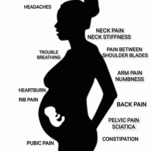 pregnant