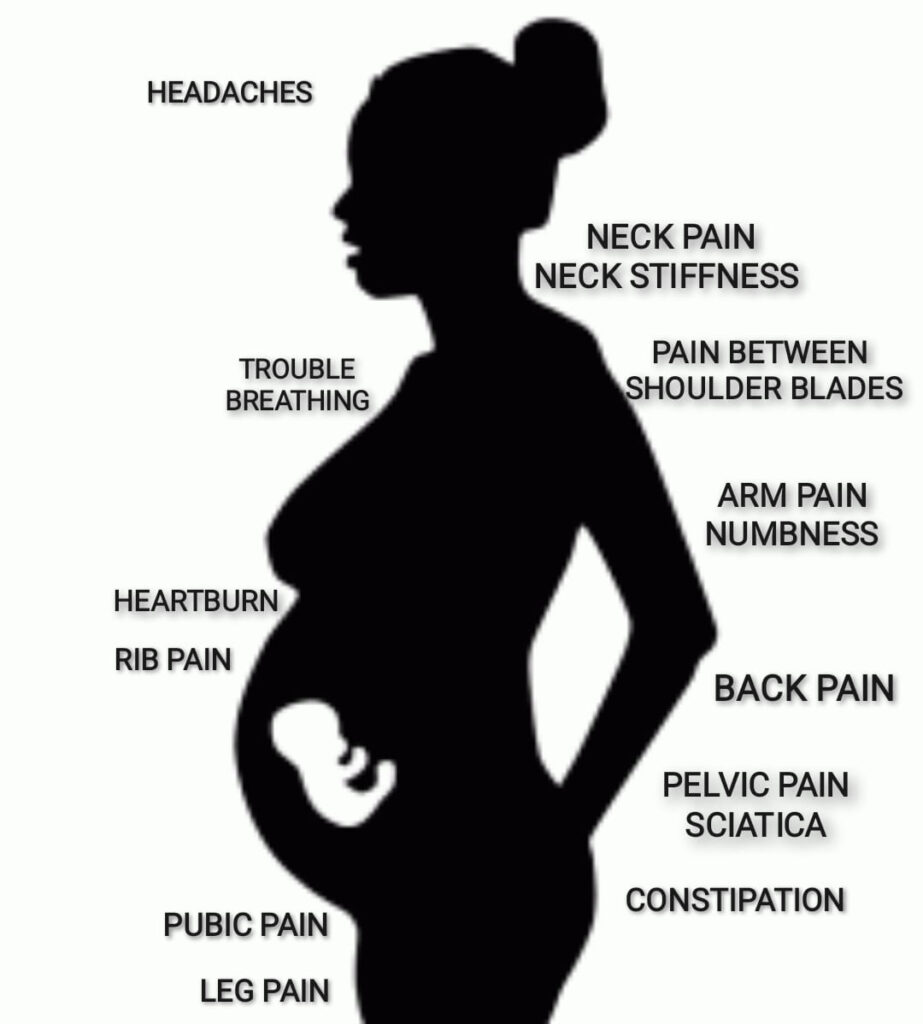 pregnant